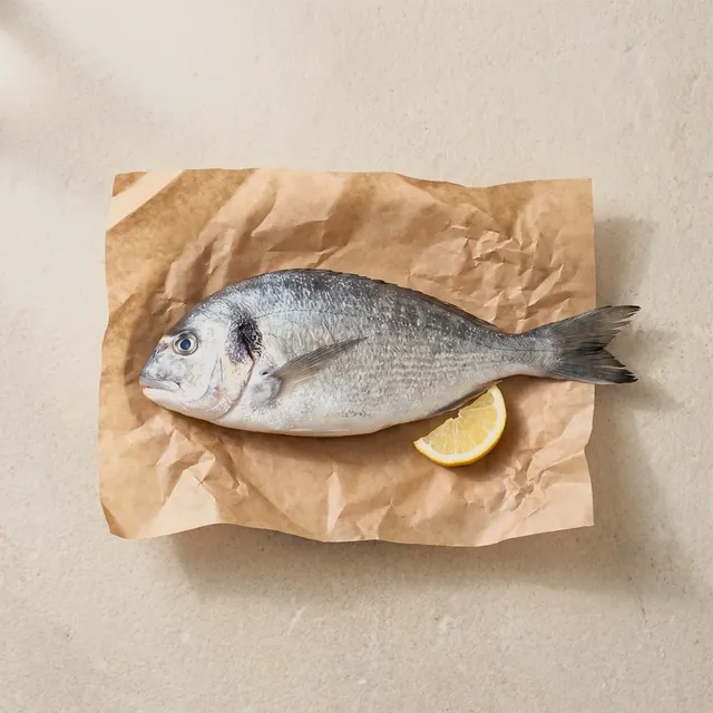 Fish